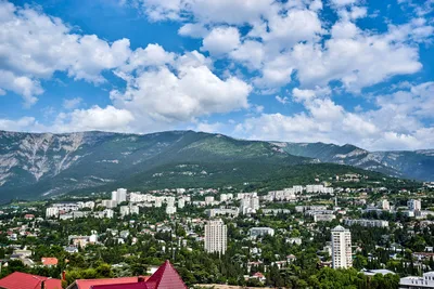 Мини-отель Ницца, Ялта, Крым, цены от 3000 руб. — отзывы, фото, номера,  контакты на 101Hotels.com