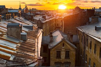 Весенние крыши Петербурга - туры и гиды от City Trips