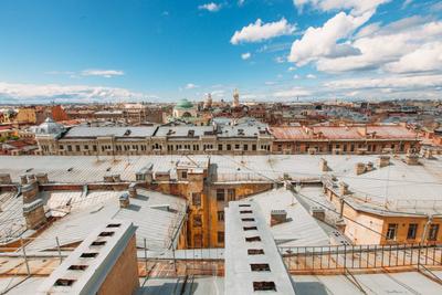 Экскурсии по крышам в Санкт-Петербурге: 60 экскурсоводов со средним  рейтингом 4.9 с отзывами и ценами на Яндекс Услугах.