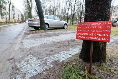 Москвичи будут получать бонусы за жалобы на неправильную парковку – Москва  24, 03.06.2015