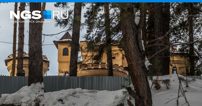 В Кудряшах выставили на продажу замок за 135 миллионов - 15 января 2019 -  НГС.ру