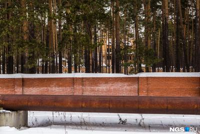 База отдыха Кудряшовская заимка - п. Приобский, Новосибирская область  (Официальный сайт, фото, отзывы)