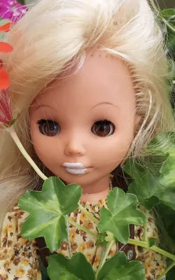 Кукла - Девочка из Германии, 20 см от Madame Alexander, 64495 - купить в  интернет-магазине ToyWay