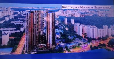 Купить квартиру в Москве и не прогадать: на что тратят деньги продуманные  волгоградцы