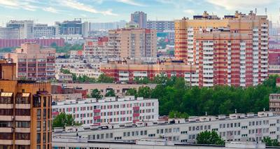 Где в Новой Москве лучше купить квартиру? | Кайли — квартиры в новостройках  | Дзен