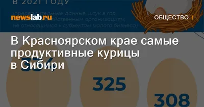 В Красноярском крае сойки готовятся к спариванию — Новости Красноярска на 7  канале