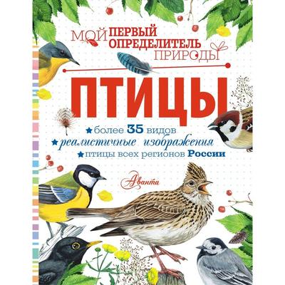 Приправа Maggi для сочной курицы по-итальянски 30г м/у из раздела Специи и  приправы