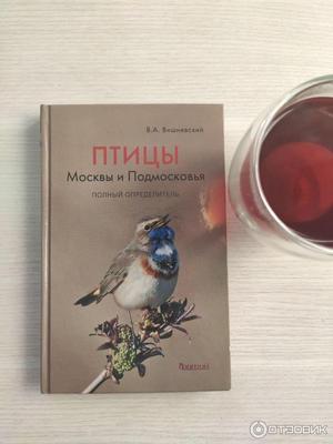 Чёрная курица, или Подземные жители. Сказки (ил. М. Митрофанова), Одоевский  Владимир, Погорельский Антоний . Читаем до школы , Эксмо , 9785041744878  2023г. 243,00р.