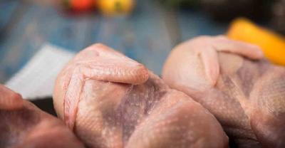 Жители Самары пожаловались на пропажу курицы с прилавков - Регион Самара