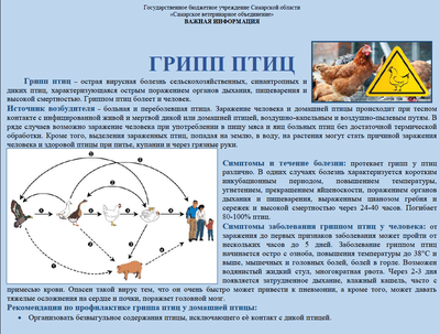 Иллюстрация 9 из 11 для Детский пазл на подложке \"Птицы России\" (63  элемента) | Лабиринт - игрушки.