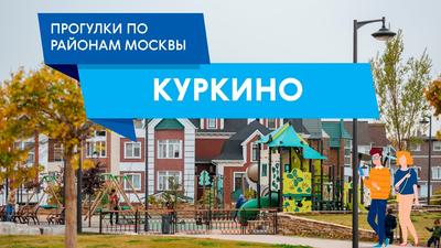 парк японского стиля в районе куркино москва Редакционное Фотография -  изображение насчитывающей редакционо, достопримечательностью: 222425412