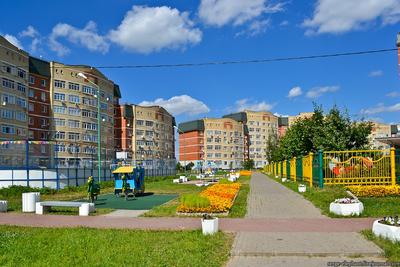Интересные факты о районе Куркино, Москва. | Куркино Онлайн | Дзен