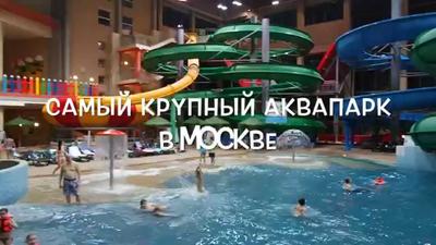 Ква-ква парк, Москва - «С точки зрения родителя. Плюсы и минусы посещения с  ребенком (на которые раньше не обращала внимания)» | отзывы