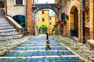 Роскошные апартаменты в Италии от Джанлукки Фанетти
