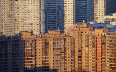 Апартаменты Санкт-Петербурга посуточно — цены на аренду с кухней