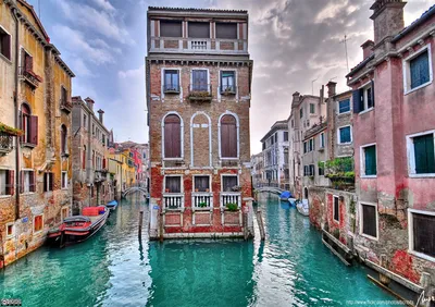 Только для своих: квартира в Венеции | myDecor