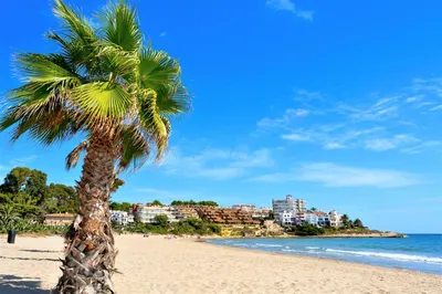 Апартаменты For A Stay Paradis Playa Ла-Пинеда, Испания – забронировать  сейчас, цены 2023 года