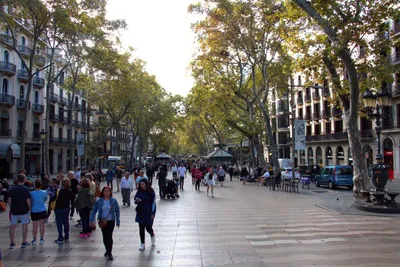 Карта улицы Las Ramblas в Барселоне