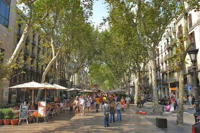 Улица Ла Рамбла, Барселона, Испания - «Ла Рамбла - живые статуи,  антикварные фонари, рынок Бокерия, запоминающаяся архитектура, взгляд на  Готический квартал и путь к порту Барселоны! Рамблы, они такие...» | отзывы