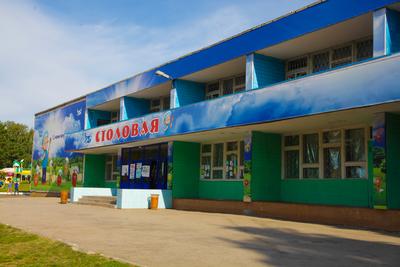 Лагерь чкаловец Новосибирск фото