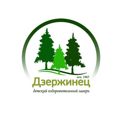 Дзержинец, детский оздоровительный лагерь в Новосибирске — отзыв и оценка —  Волк Борисович