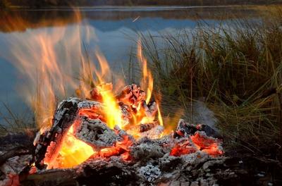 Искусственный огонь искусственное пламя творческий 3D декоративный картон  костер домашний декор для летнего лагеря костра Вечерние | AliExpress