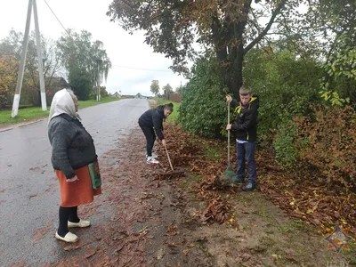 Лагерь «Орленок» под Полоцком продали за 7 тысяч долларов. Здесь будет  туркомплекс — последние Новости на Realt