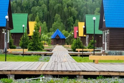 Детский Лагерь: последние новости на сегодня, самые свежие сведения |  НГС.ру - новости Новосибирска