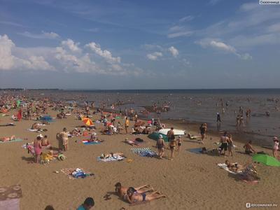 Пляж Камское море в Лаишево, Татарстан. Фото, где находится, инфраструктура  с ценами, как доехать на Туристер.Ру