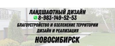 Как создать красивый сад своими руками и какие неприхотливые растения  посадить в Новосибирске - 28 июля 2021 - НГС.ру