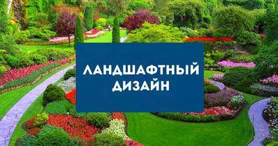 Ландшафтный дизайн Новосибирск цена от 802 руб. м2
