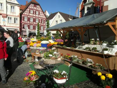 Historical city of Lahr Schwarzwald, Germany Stock Photo - Alamy