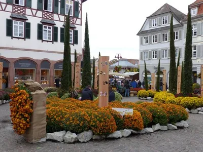 Visiting Lahr, Germany – A Spoonful of TLC