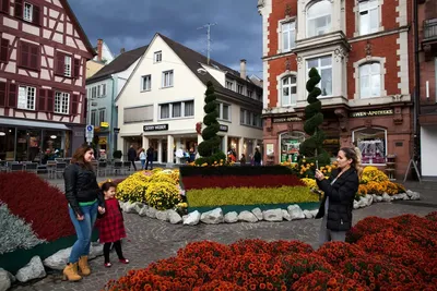 Город Лар, Шварцвальд. Германия - «Когда не хватает цвета в осени...  Цветочное блаженство Хризантемного г. Лар. Осенний Шварцвальд. Это просто  КРАСИВО! » | отзывы