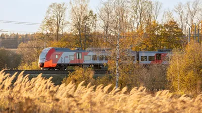 Поезд ласточка белгород москва (45 фото) - фото - картинки и рисунки:  скачать бесплатно