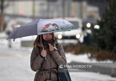 Ледяной дождь накрыл Москву – Москва 24, 22.11.2022