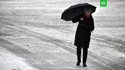 Ледяной дождь и гололедица ожидаются в Москве / Новости города / Сайт Москвы