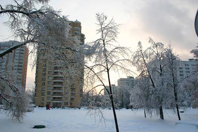 Ледяной дождь во Владивостоке и Москве: фото и видео с улиц 29 ноября 2022  г. - 29 ноября 2022 - V1.ру
