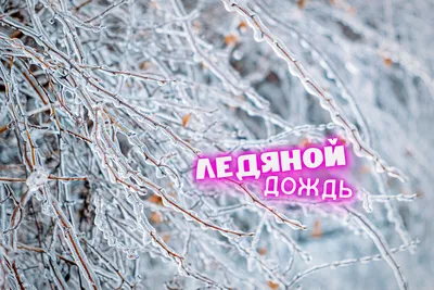 Ледяной дождь и снегопад ожидают в Москве — 21.11.2022 — В России на РЕН ТВ