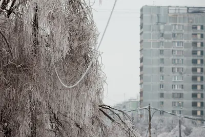 Ледяной дождь в Москве - ЯПлакалъ
