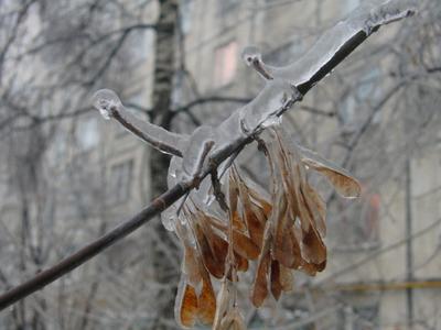 Ледяной дождь в Москве» — создано в Шедевруме