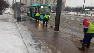 Ледяной дождь в Москве: красота и коварство природы | Роман Данилин | Дзен