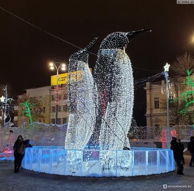 Уже завтра в Екатеринбурге откроется ледовый городок с пингвинами и китами  | 26.12.2019 | Екатеринбург - БезФормата