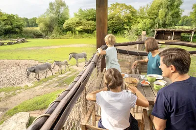 Зоопарк Zoo Leipzig современные кровельные материалы для крыши:  конструкции, особенности