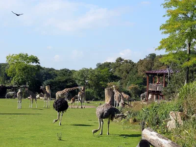 Gondwanaland zoo leipzig new tropical hi-res stock photography and images -  Alamy