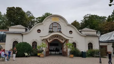 Лейпцигский зоопарк, Лейпциг: лучшие советы перед посещением - Tripadvisor