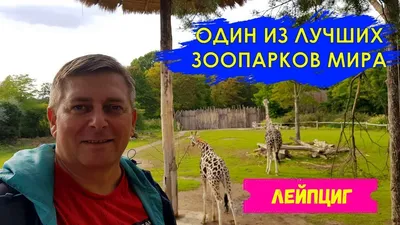 Зоопарк Лейпцига, один из лучших в Европе. - YouTube