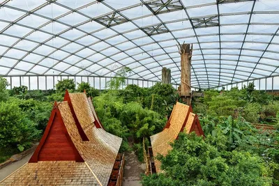 Зоопарк Zoo Leipzig современные кровельные материалы для крыши:  конструкции, особенности