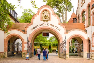 zoo leipzig｜TikTok Search