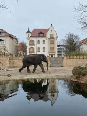 Leipzig Zoo - the best zoo in Germany? - Ready for Boarding